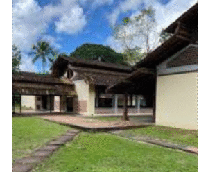 Post Instagram Quem Sou Eu Auriculoterapeuta Roxo e Lilás (1)