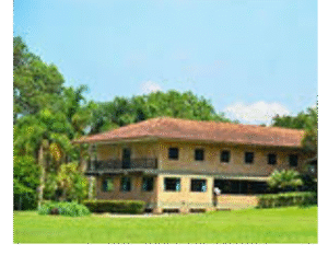 Post Instagram Quem Sou Eu Auriculoterapeuta Roxo e Lilás (4)