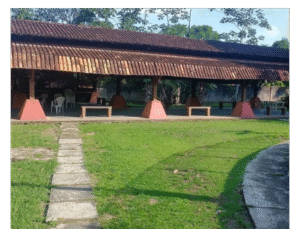 Post Instagram Quem Sou Eu Auriculoterapeuta Roxo e Lilás (5)